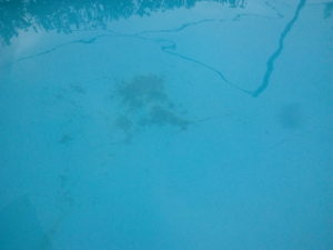 Μεμβράνη πισίνας