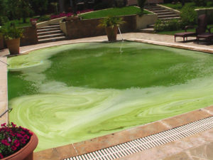 Μεμβράνη πισίνας