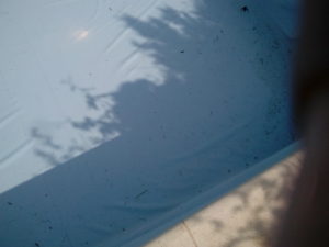 Μεμβράνη πισίνας