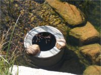 skimmer φυσικης πισινας